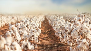 全球棉花和原油价格都在上涨，影响了纺织品的价格。在上面