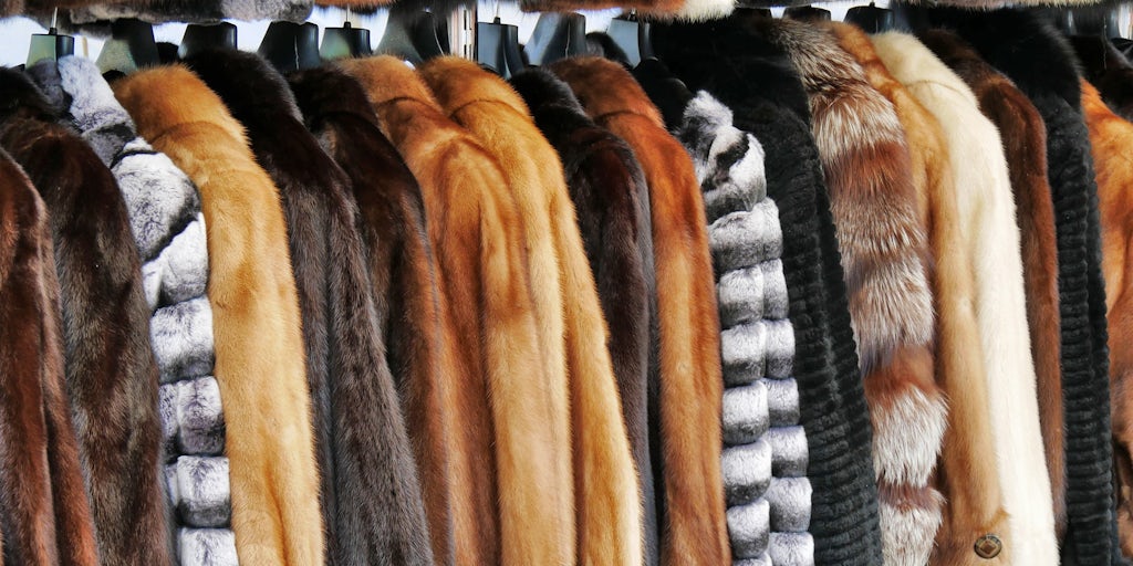 Flying Fur Prices Put Fox in Focus as Mink Cull Sparks Shortage