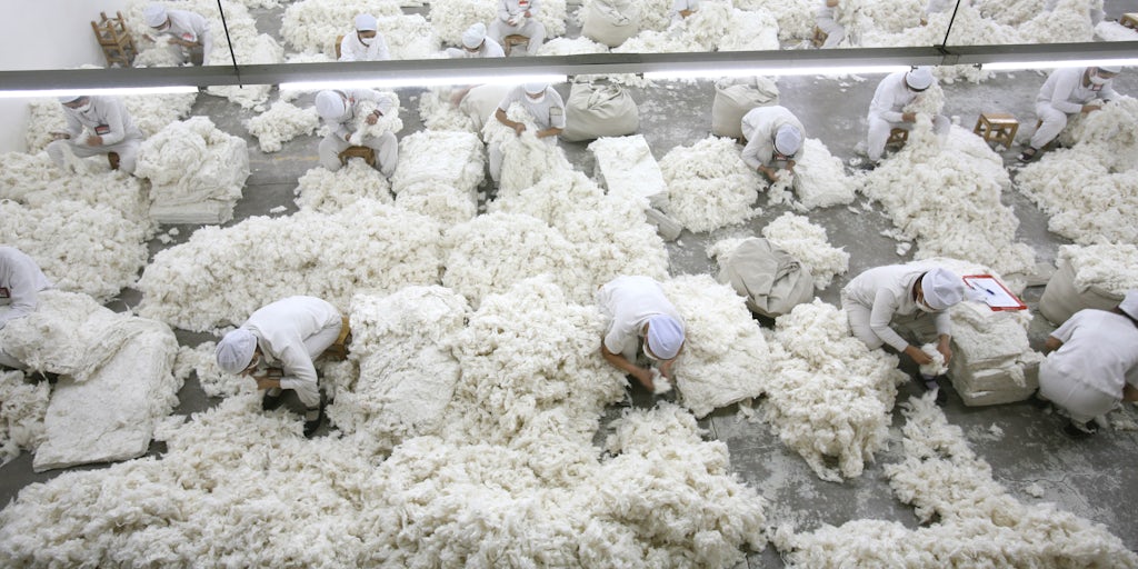 What the Latest Clampdown on Xinjiang Cotton Means for Fashion | BoF Professional, News & Analysis