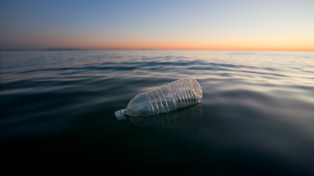 Fashion Can’t Solve the Ocean Plastic Problem | BoF Professional, News & Analysis