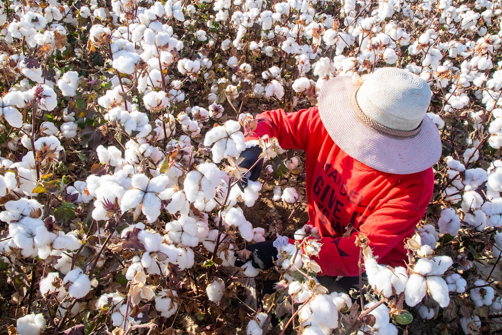 Get Out of China’s Coercive Cotton Fields | This Week in Fashion, BoF Professional