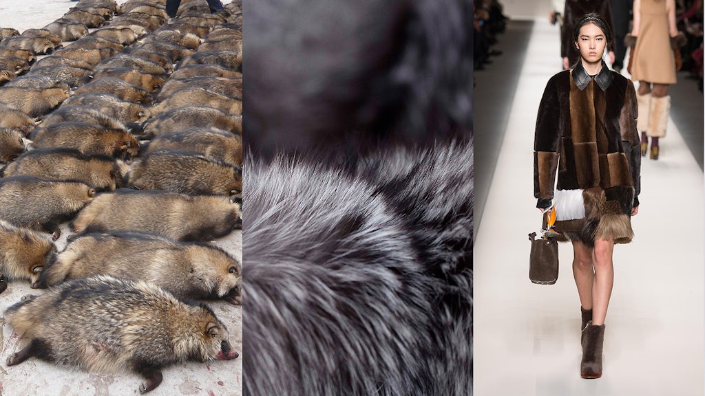 How Much Does A Fur Coat Cost In Russia – Tradingbasis