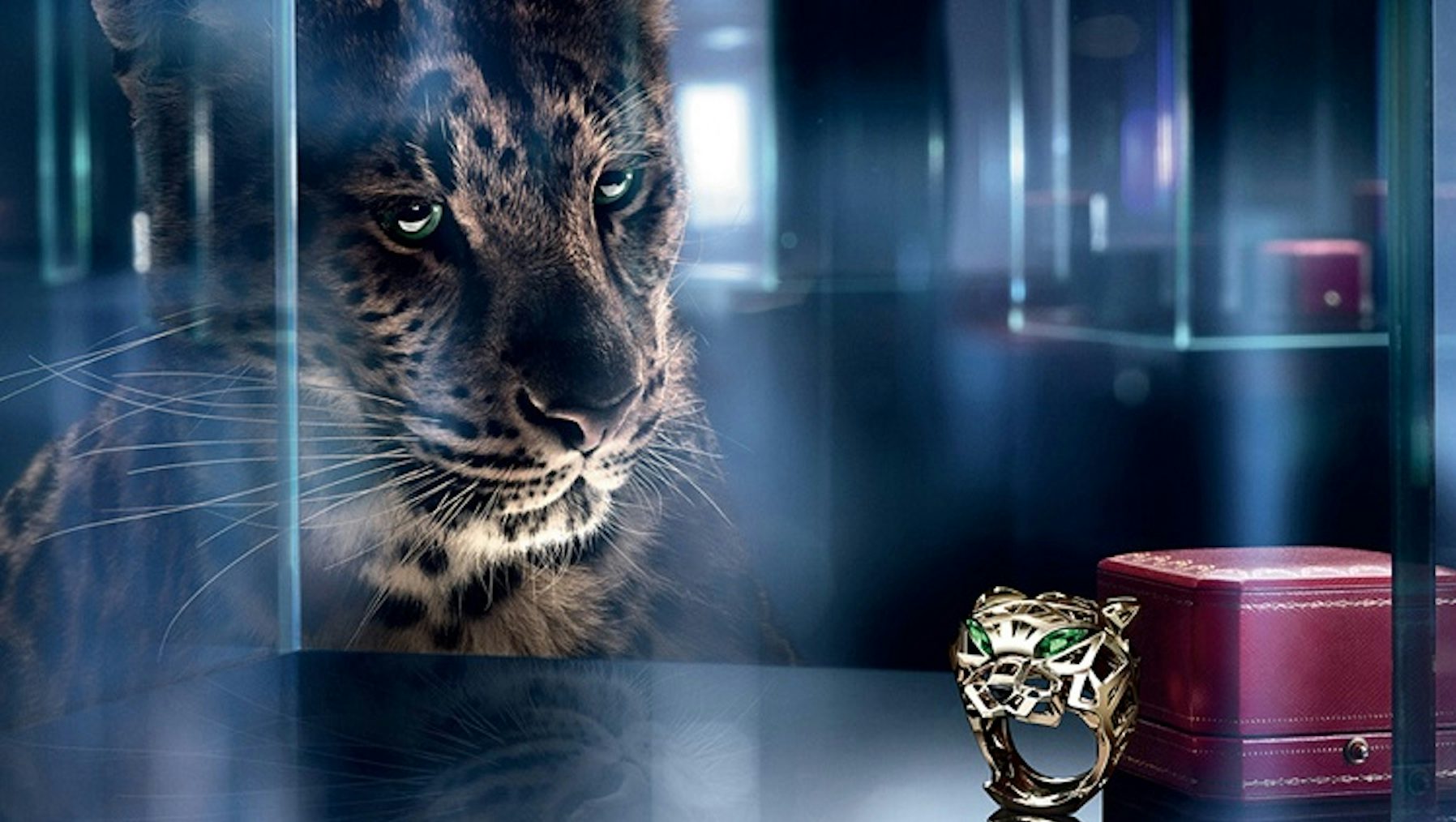 cartier new ad
